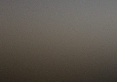 Preview of Project Four