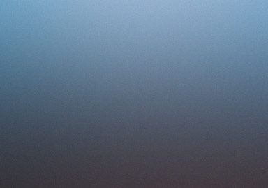 Preview of Project Five